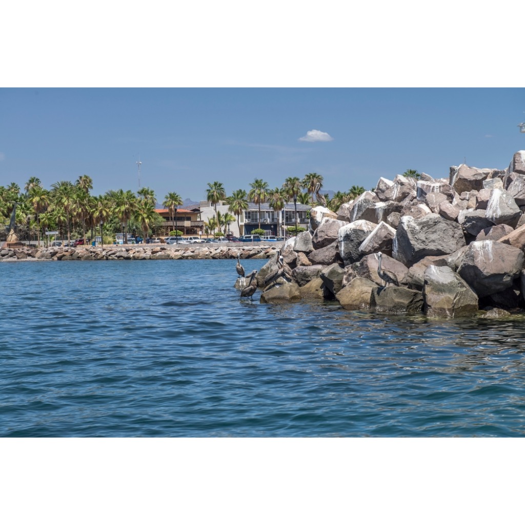 Hotels near Loreto Malecón with Day Access to Pool