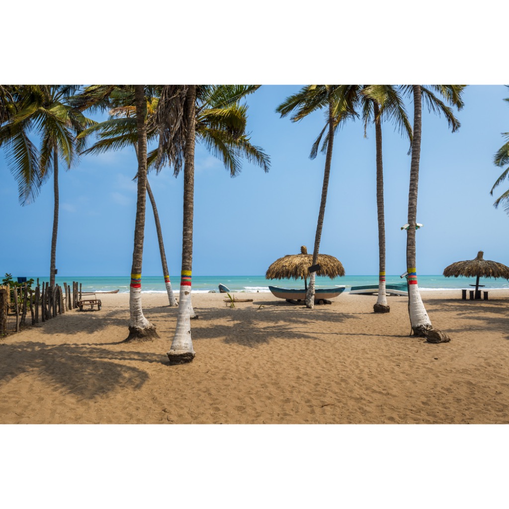 Day pass para cruceristas en Palomino con traslado y uso de instalaciones: tu escapada perfecta